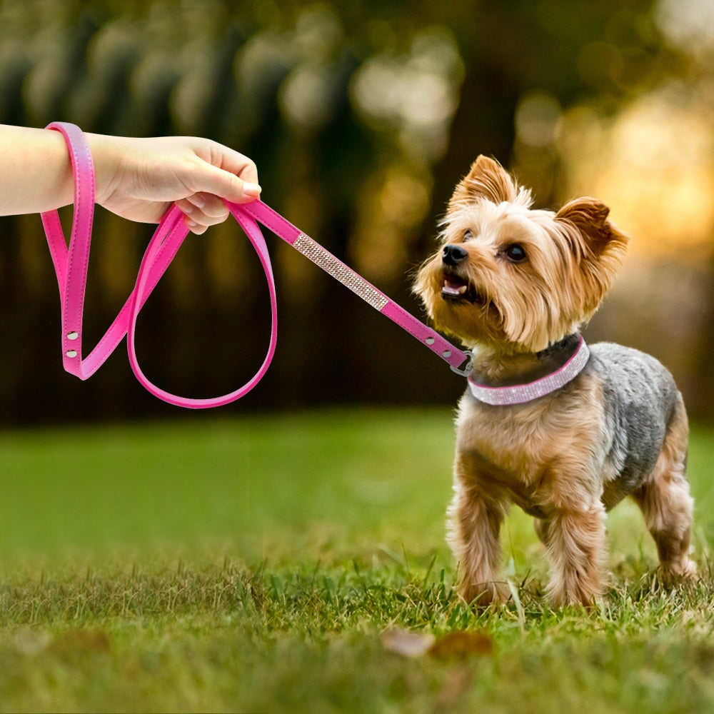 Läderhalsband med bling för hund och katt