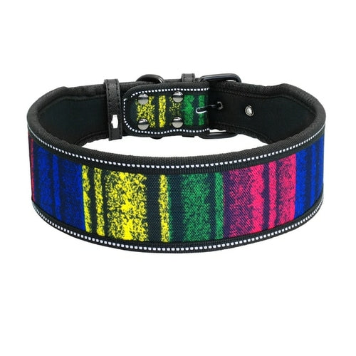 Vackert halsband till hund