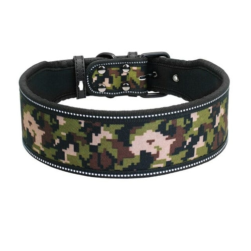 Vackert halsband till hund