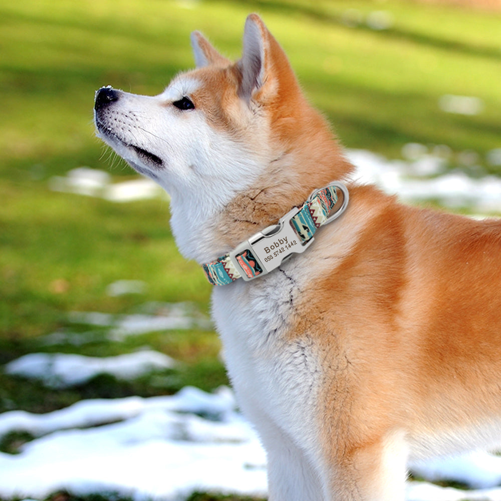 Personligt hundhalsband
