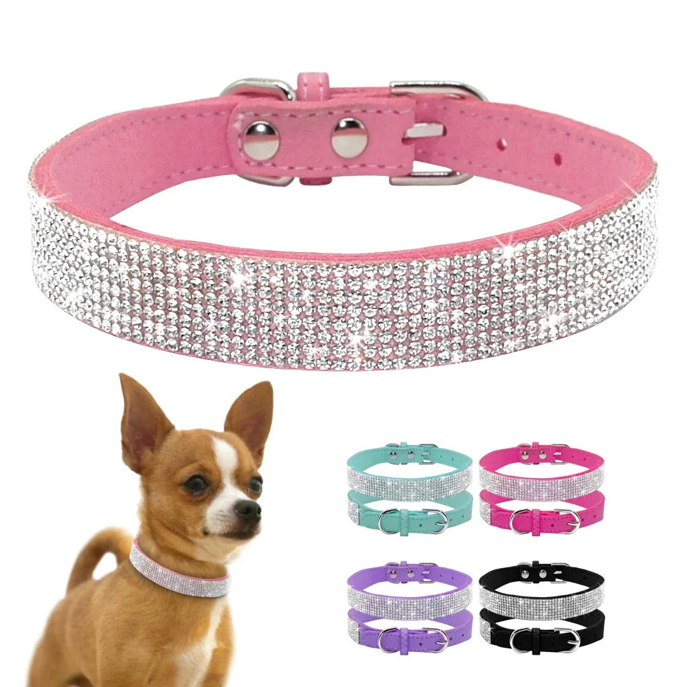 Hundhalsband med strass