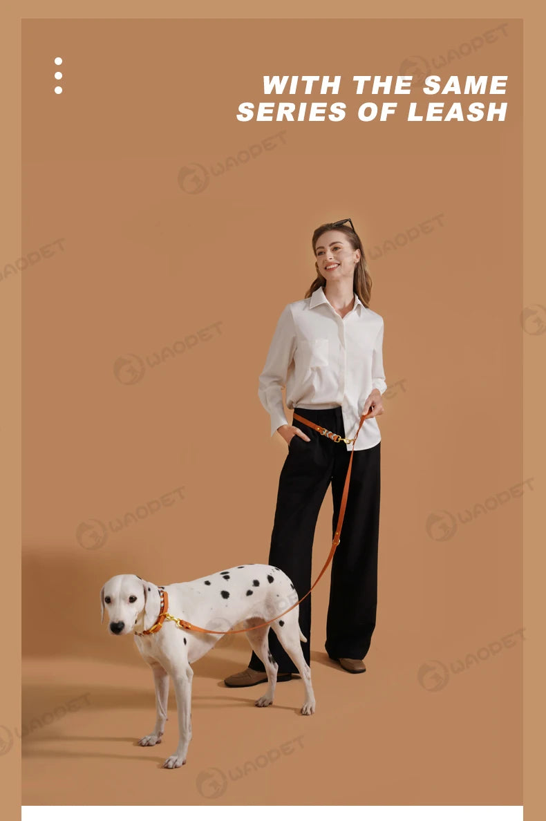 Handsytt hundhalsband