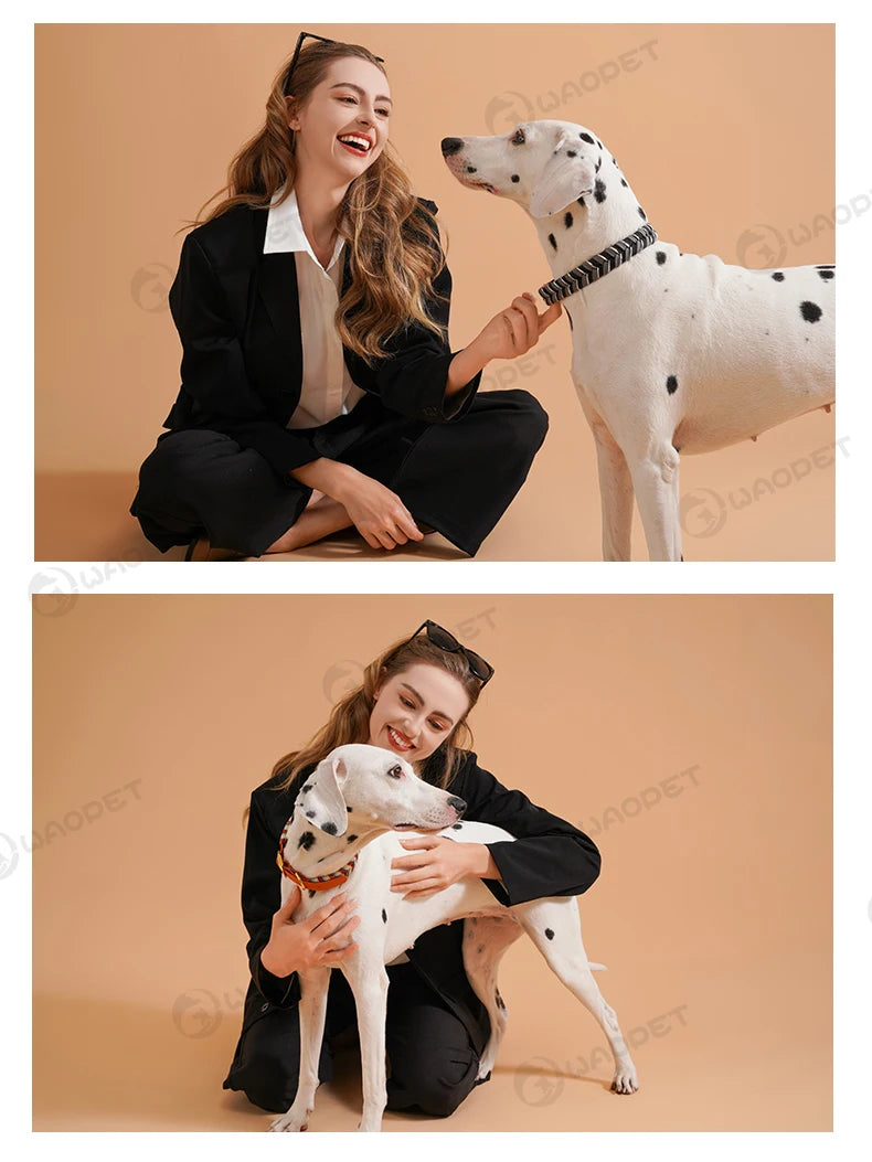 Handsytt hundhalsband