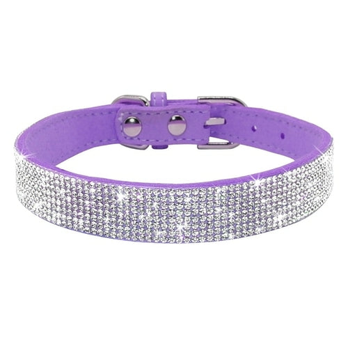 Läderhalsband med bling för hund och katt
