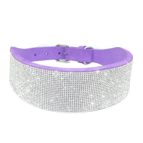 Läderhalsband med bling för hund och katt