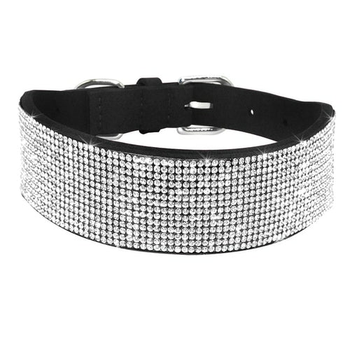 Läderhalsband med bling för hund och katt