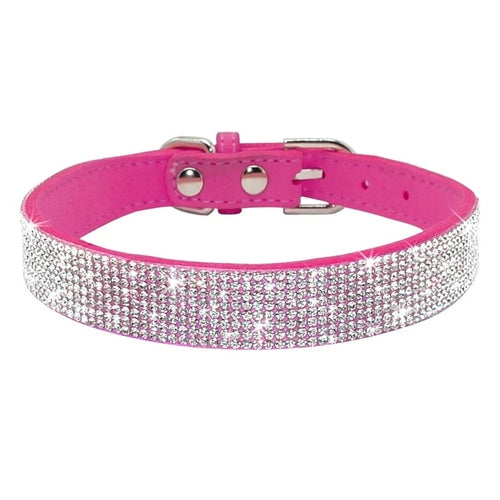 Läderhalsband med bling för hund och katt