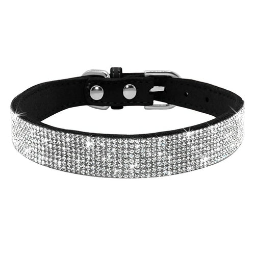 Läderhalsband med bling för hund och katt
