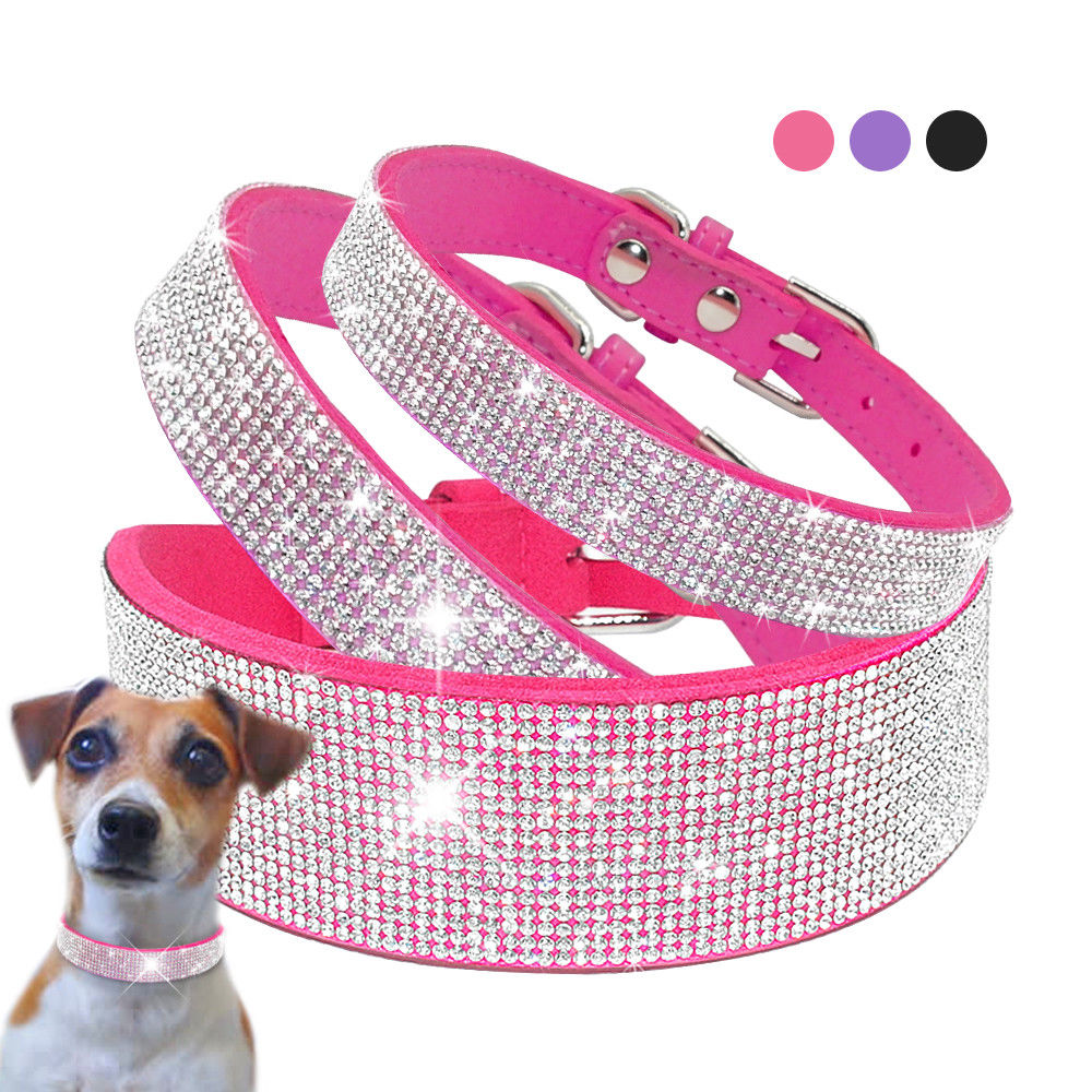Läderhalsband med bling för hund och katt
