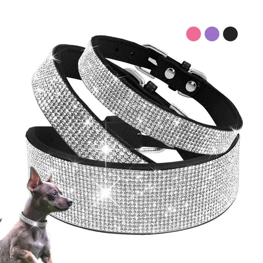 Läderhalsband med bling för hund och katt