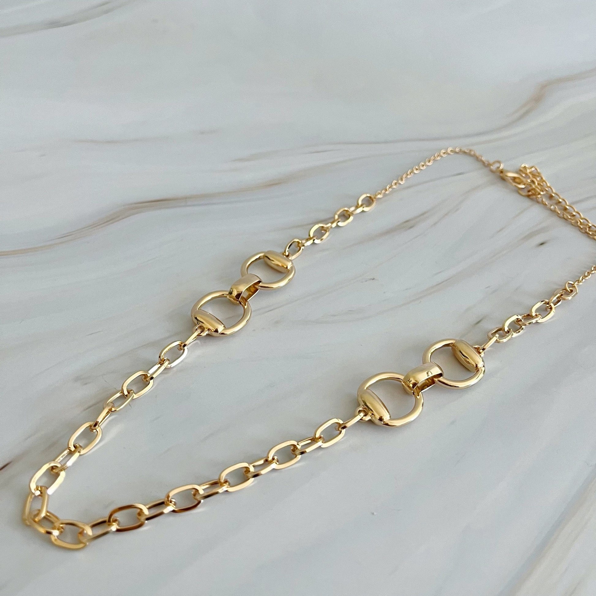 Double Equestrian Chain Necklace-4