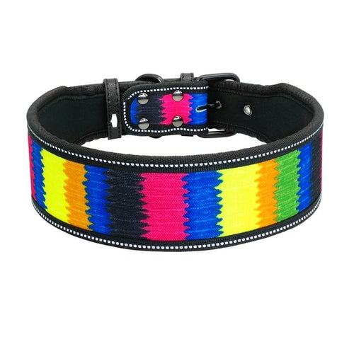 Vackert halsband till hund