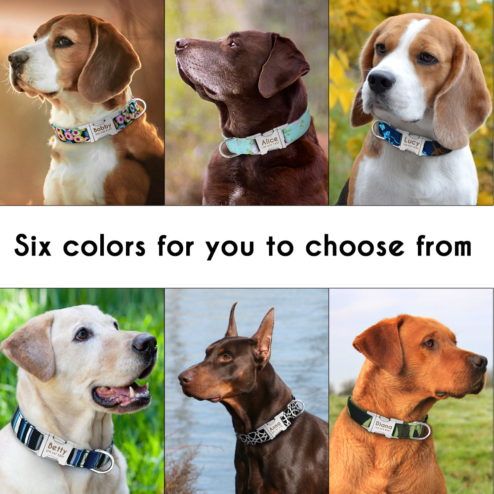 Personligt hundhalsband