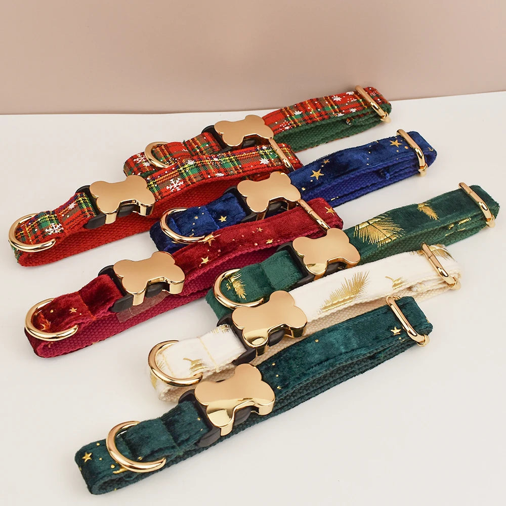 Premium hundhalsband för små och medelstora hundar