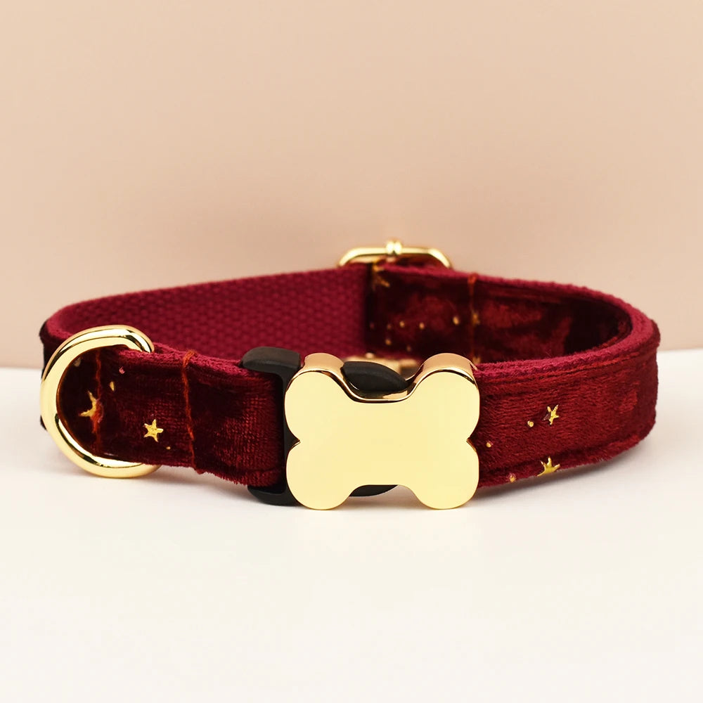 Premium hundhalsband för små och medelstora hundar
