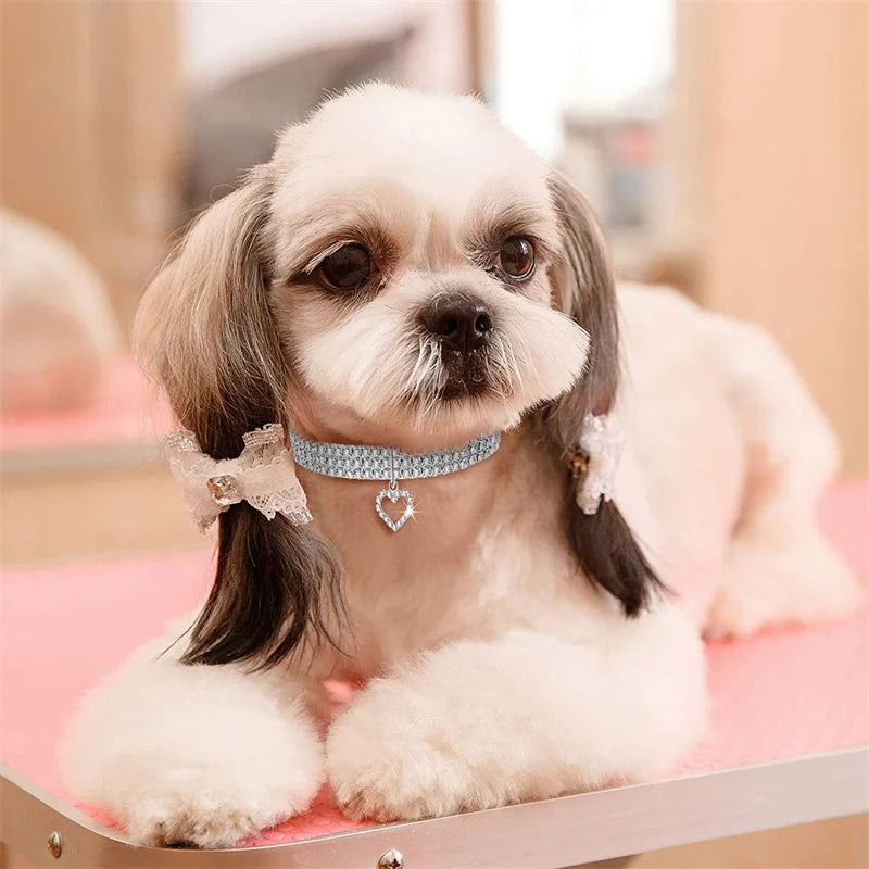 Glittrande hundhalsband