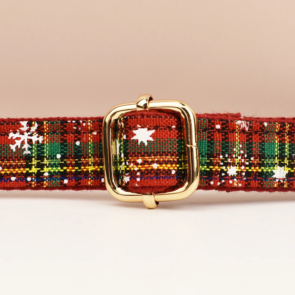 Premium hundhalsband för små och medelstora hundar