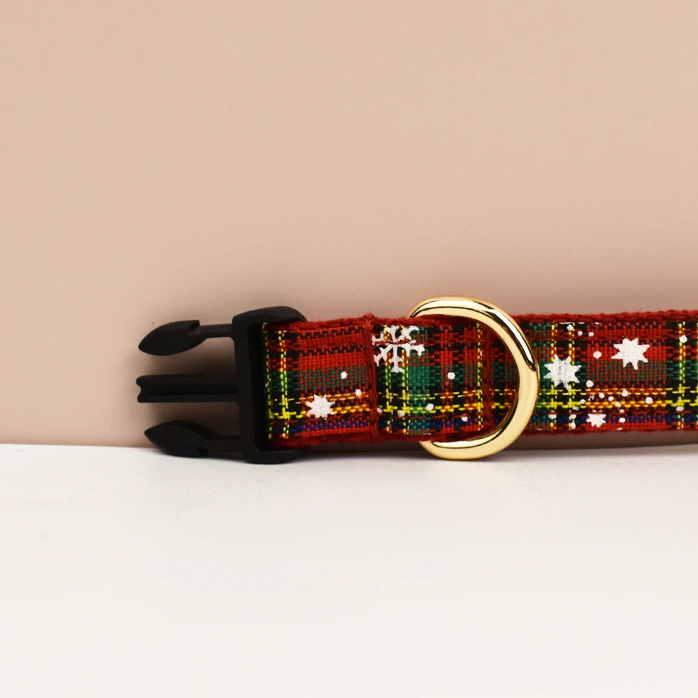 Premium hundhalsband för små och medelstora hundar