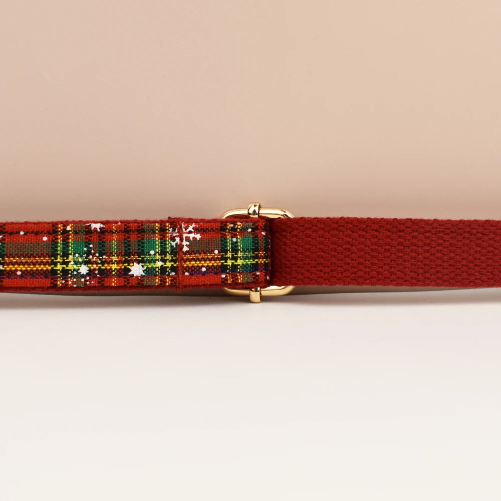 Premium hundhalsband för små och medelstora hundar