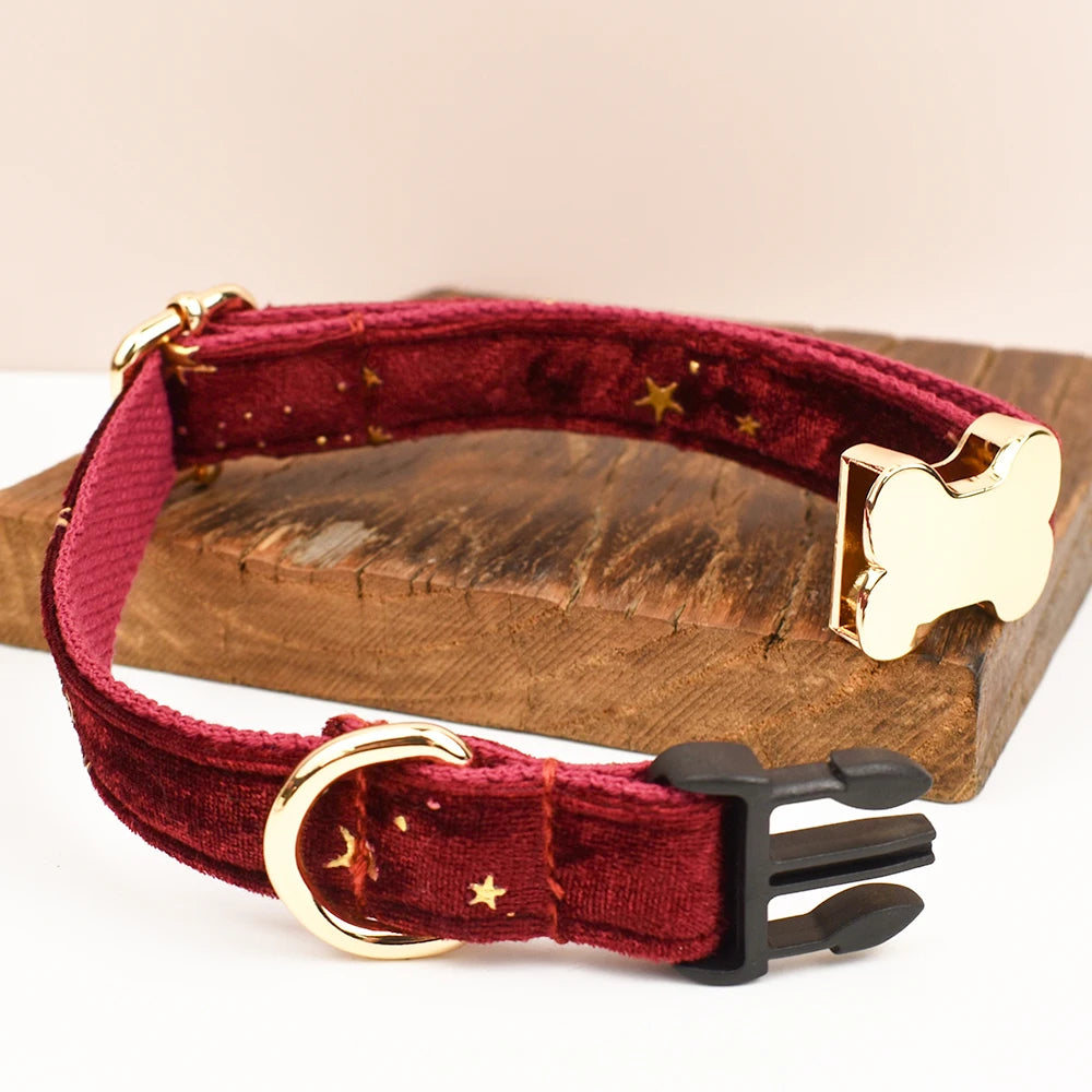 Premium hundhalsband för små och medelstora hundar