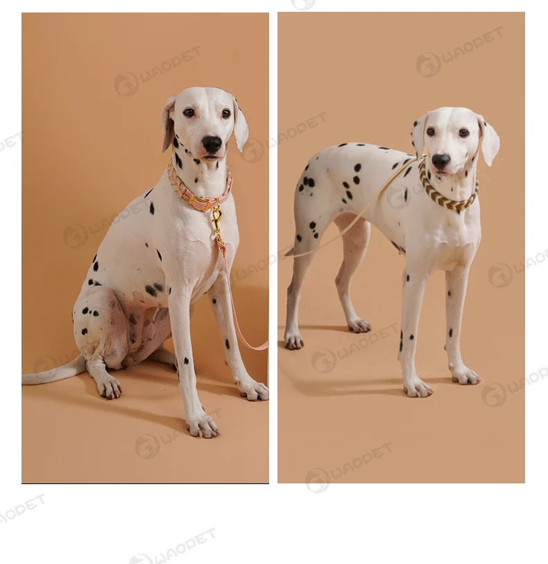 Handsytt hundhalsband