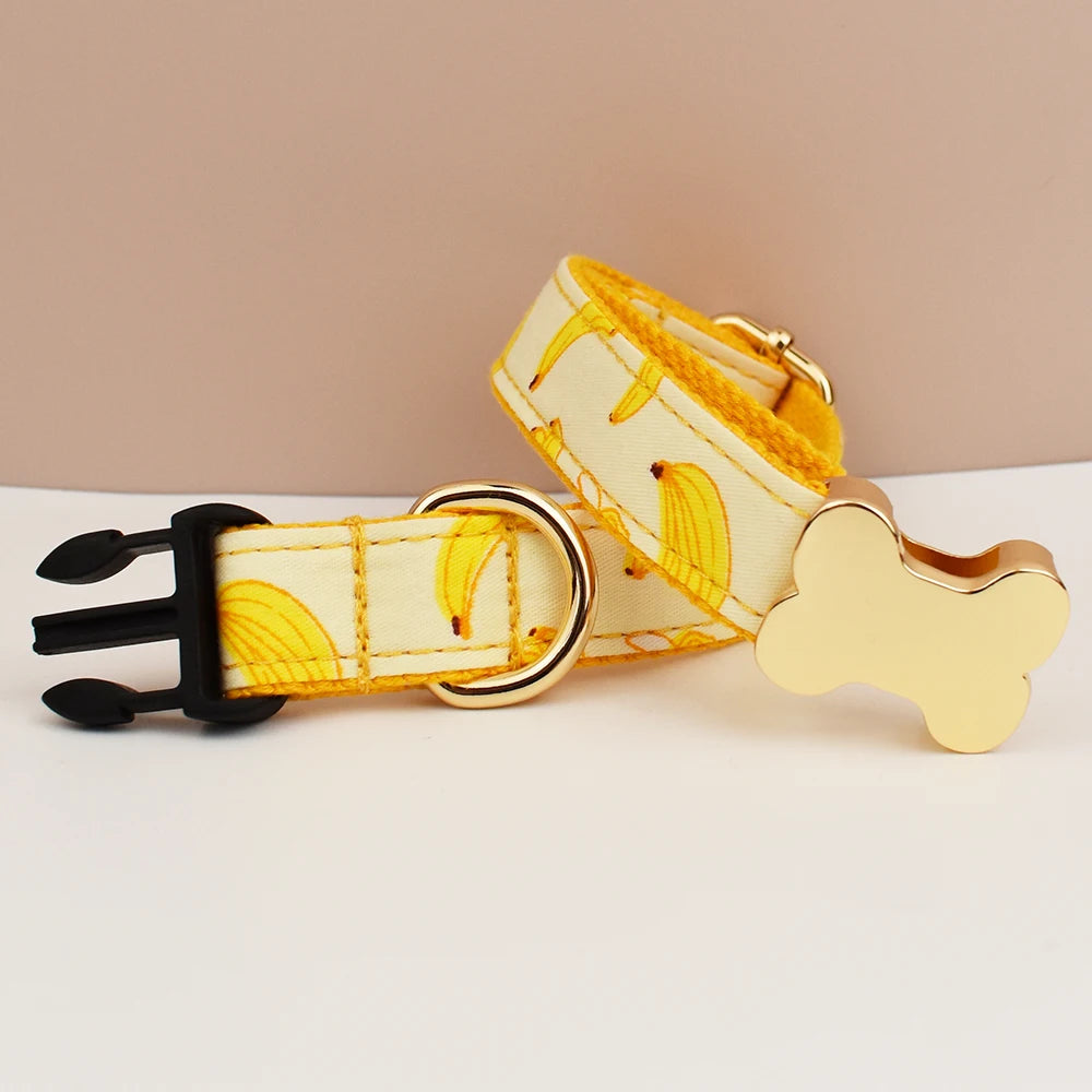 Premium hundhalsband för små och medelstora hundar