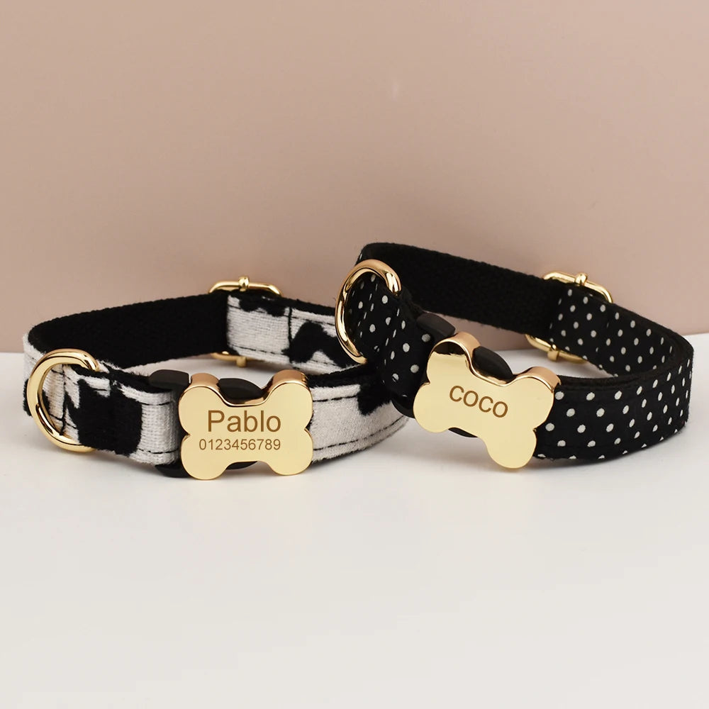 Premium hundhalsband för små och medelstora hundar