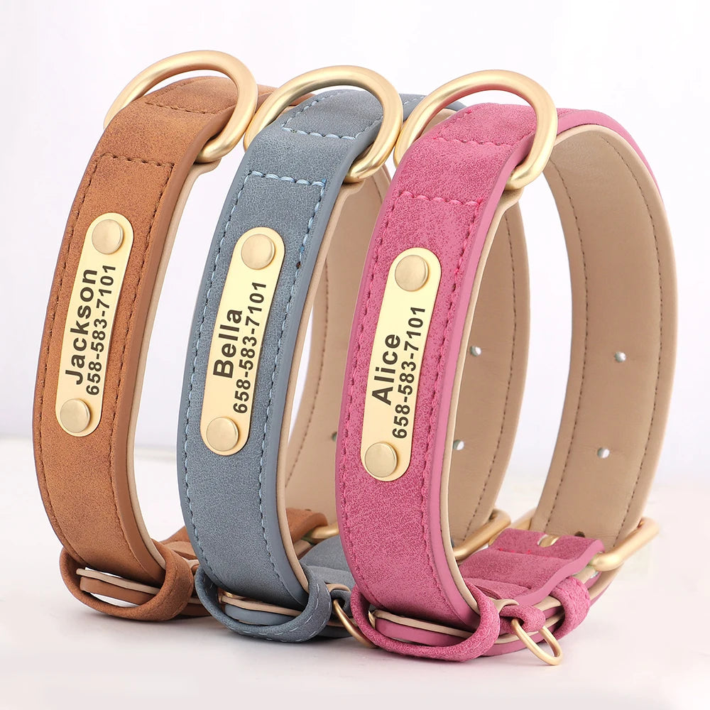 Personligt hundhalsband