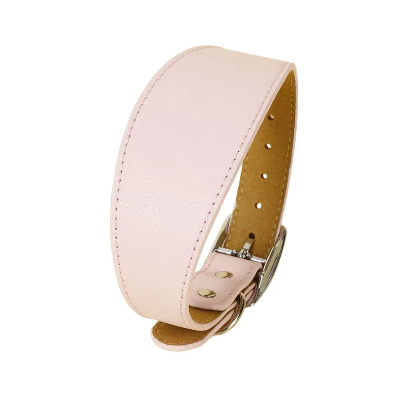 Brett läderhalsband i fina färger