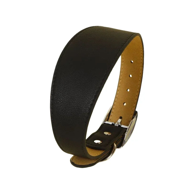 Brett läderhalsband i fina färger