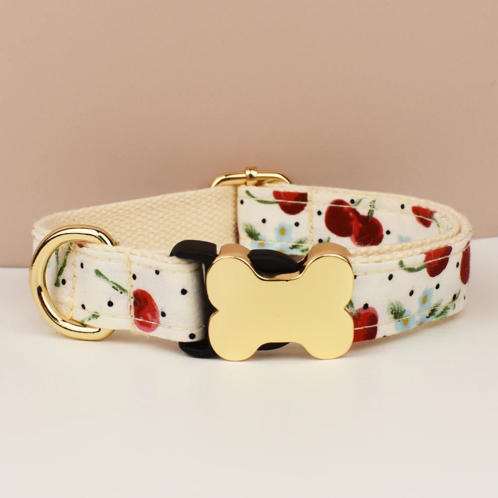 Premium hundhalsband för små och medelstora hundar