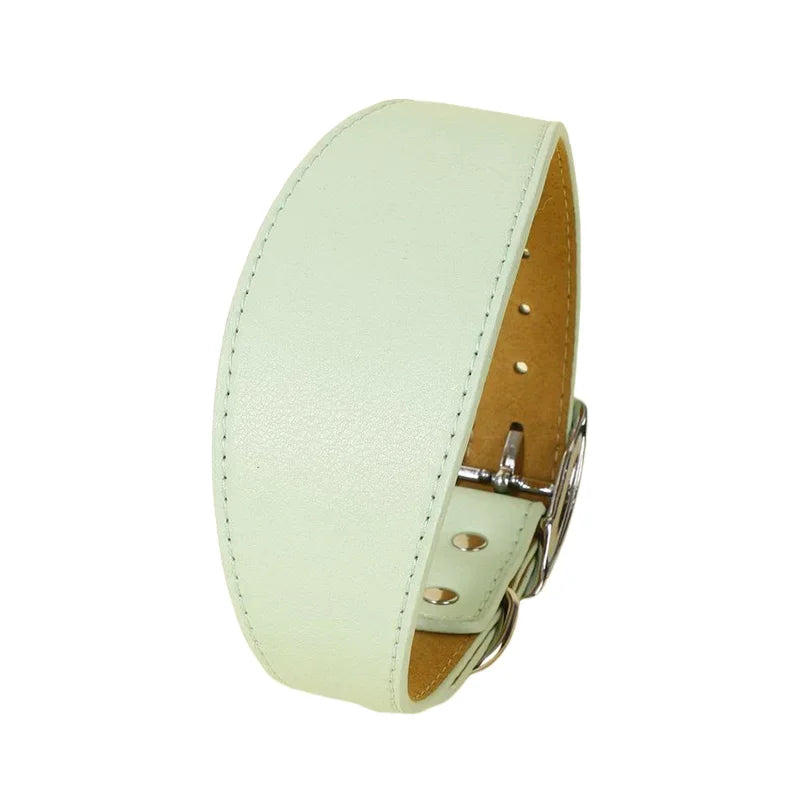 Brett läderhalsband i fina färger