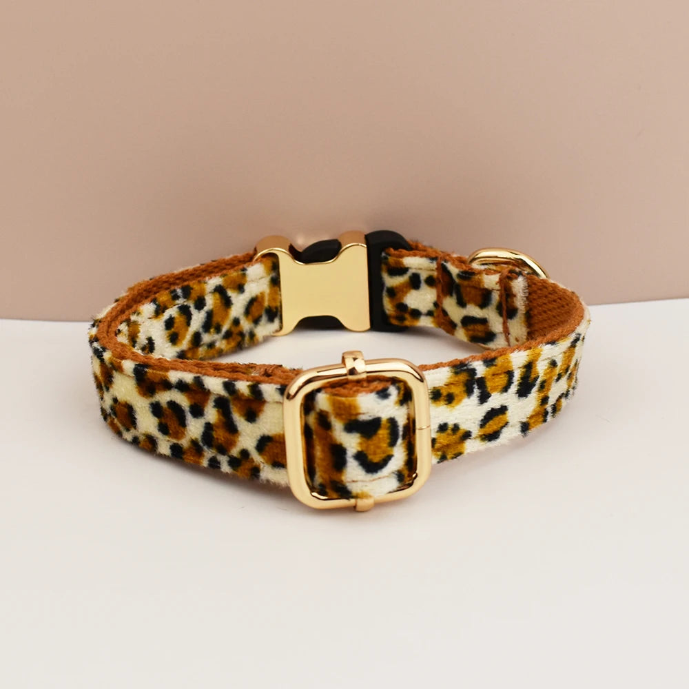 Premium hundhalsband för små och medelstora hundar