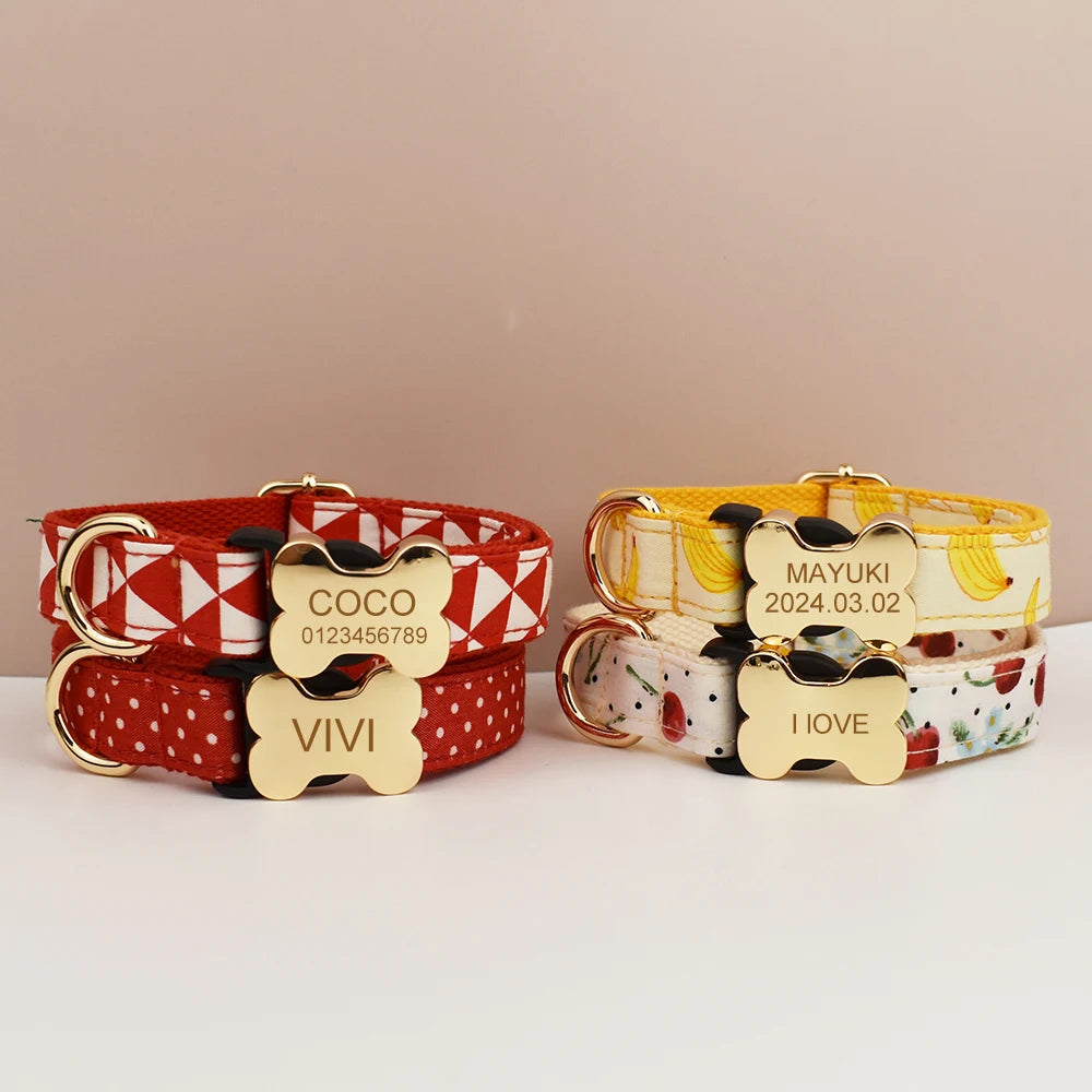 Premium hundhalsband för små och medelstora hundar