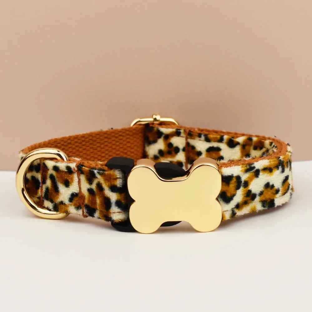 Premium hundhalsband för små och medelstora hundar