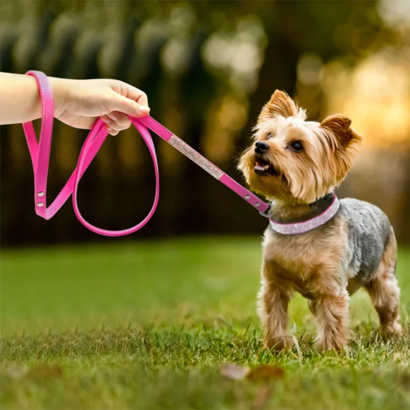 Hundhalsband med strass