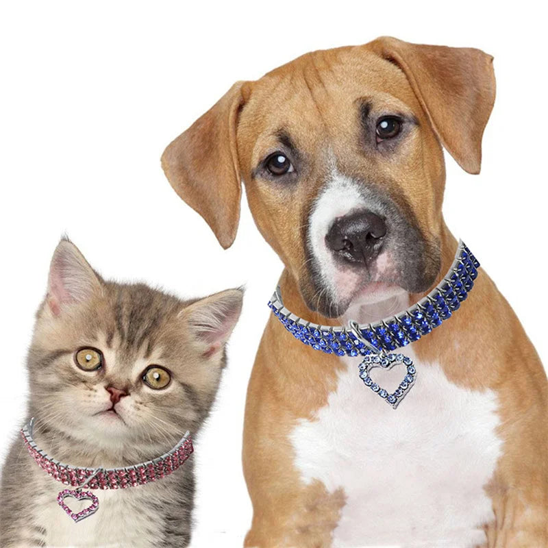 Glittrande hundhalsband