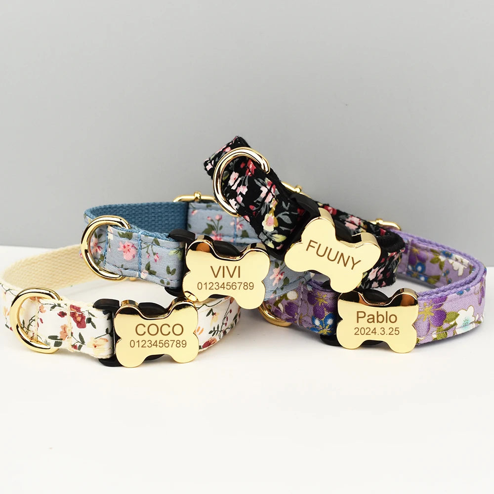 Premium hundhalsband för små och medelstora hundar