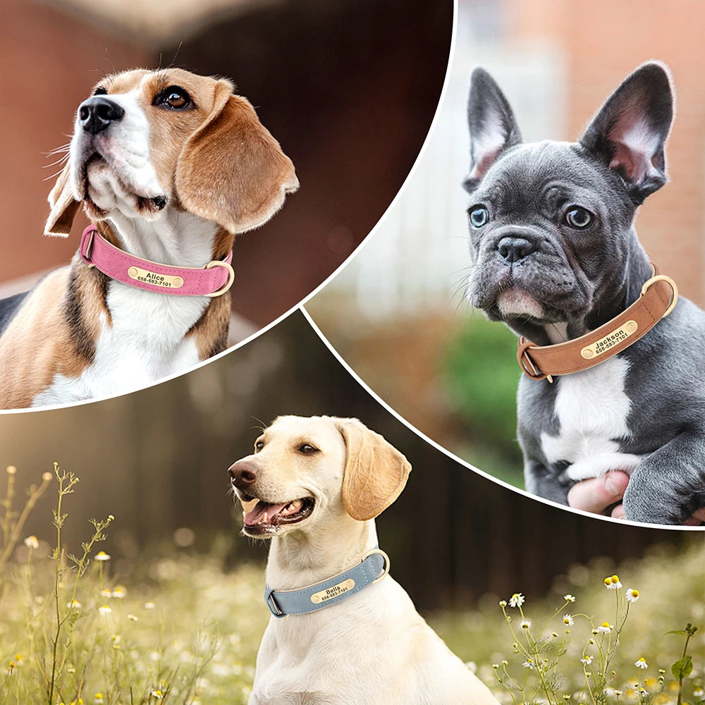 Personligt hundhalsband
