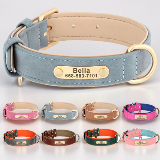 Personligt hundhalsband