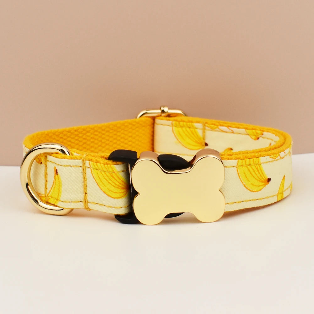 Premium hundhalsband för små och medelstora hundar