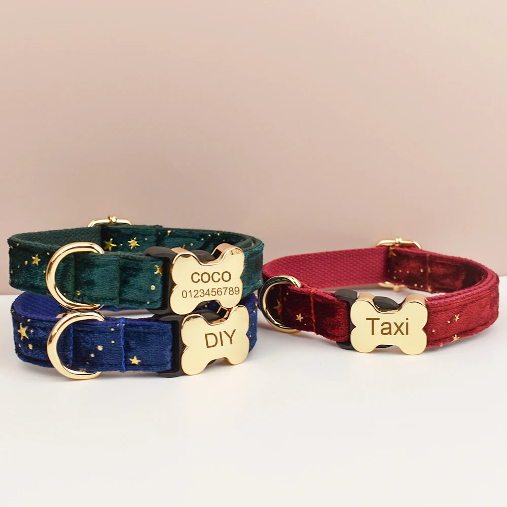 Premium hundhalsband för små och medelstora hundar