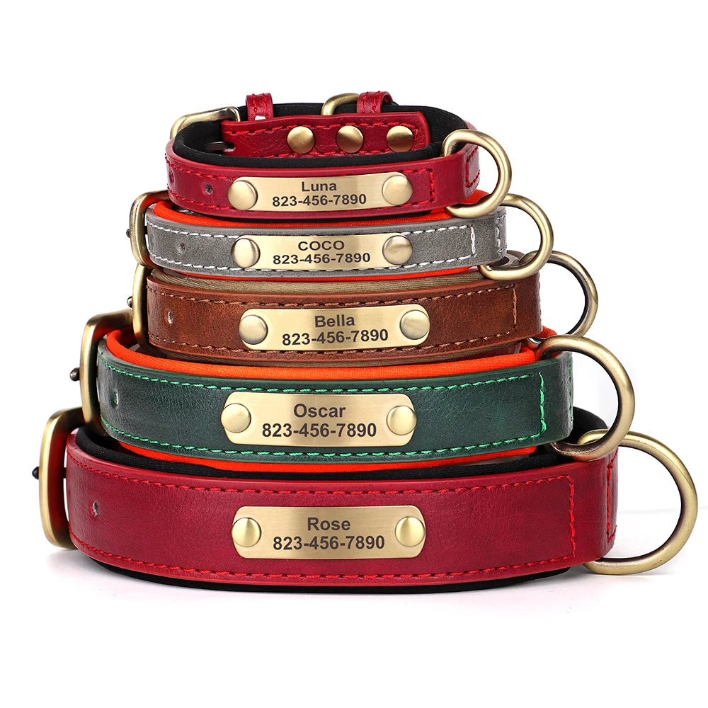 Personligt hundhalsband