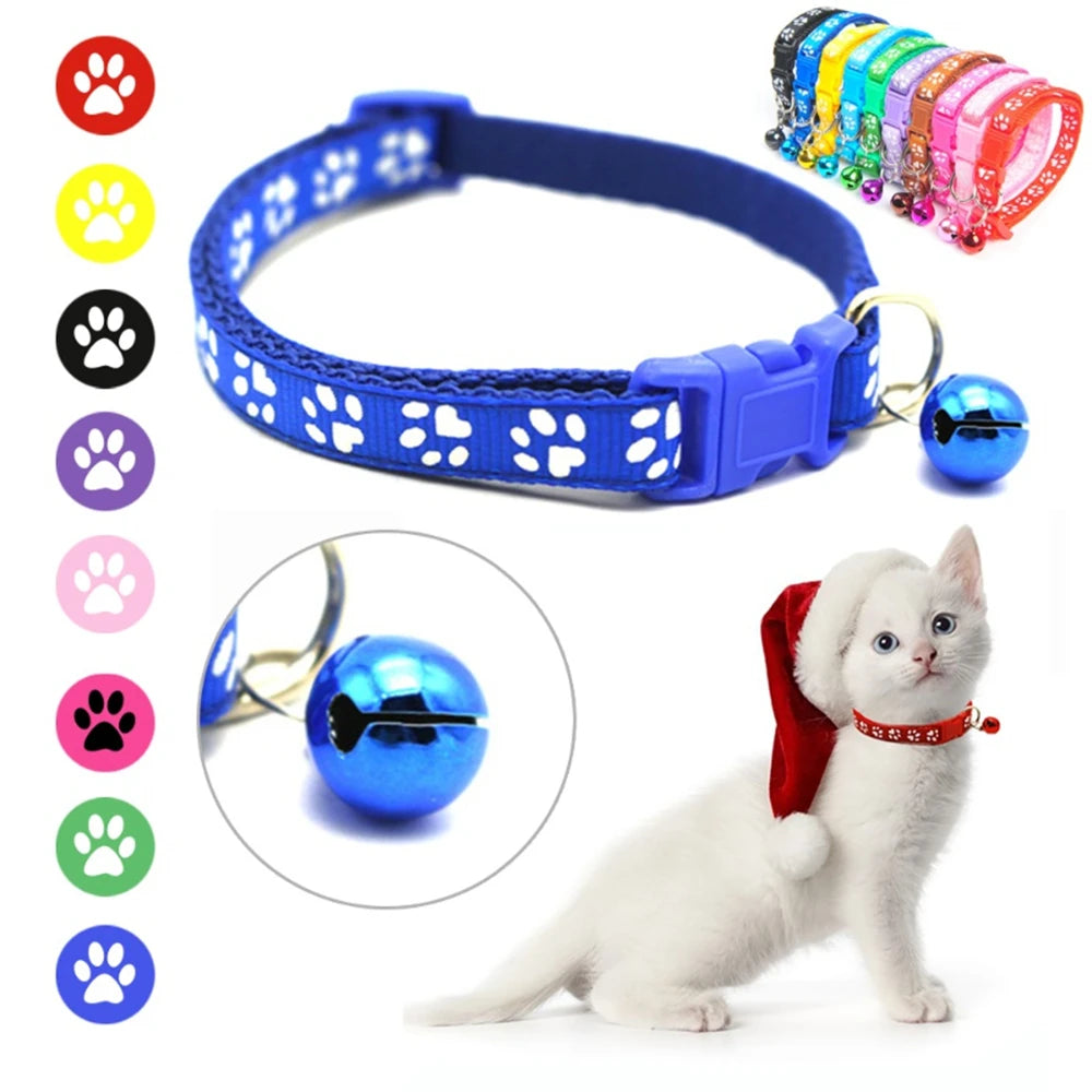 Katthalsband i härliga färger