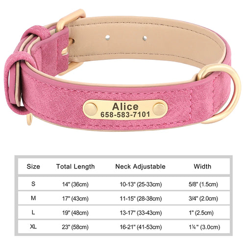 Personligt hundhalsband