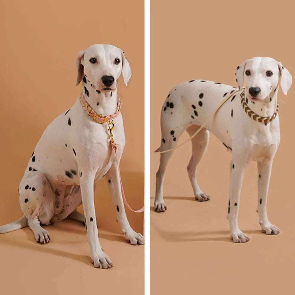 Handsytt hundhalsband