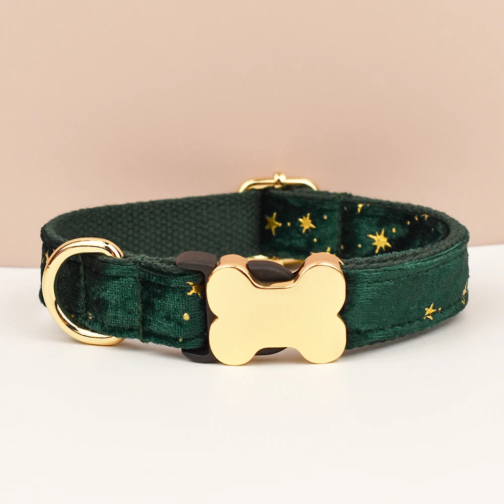 Premium hundhalsband för små och medelstora hundar