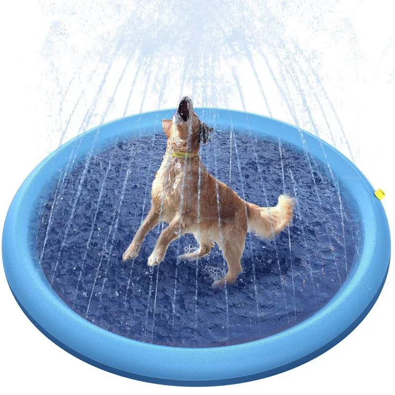 Plats för vattenlek för hund