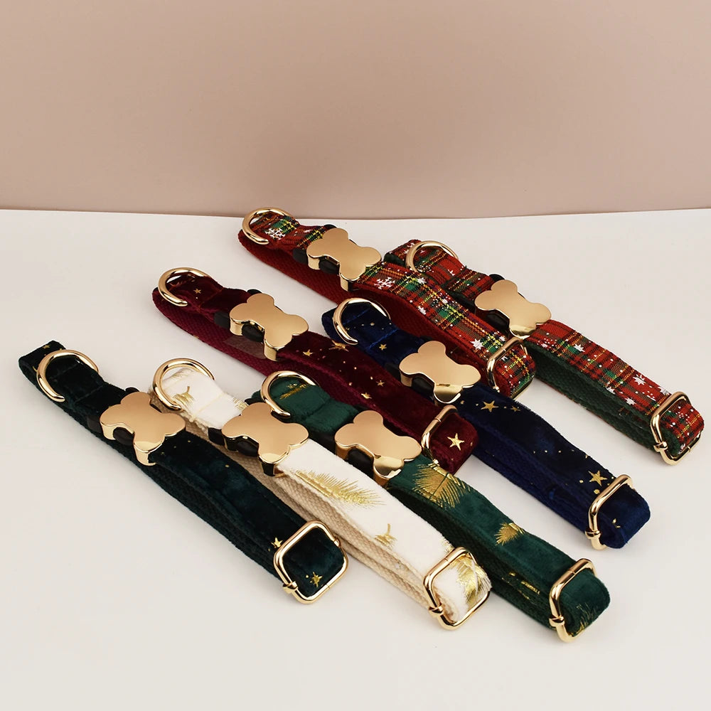 Premium hundhalsband för små och medelstora hundar